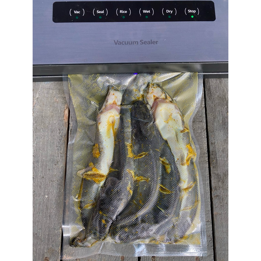 

Ikan Lele Marinasi Fresh & Frozen