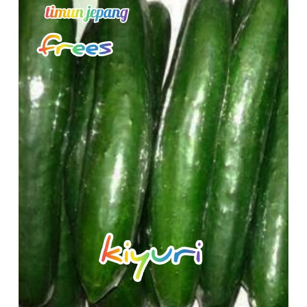 

timun kiyuri / timun jepang 1kg