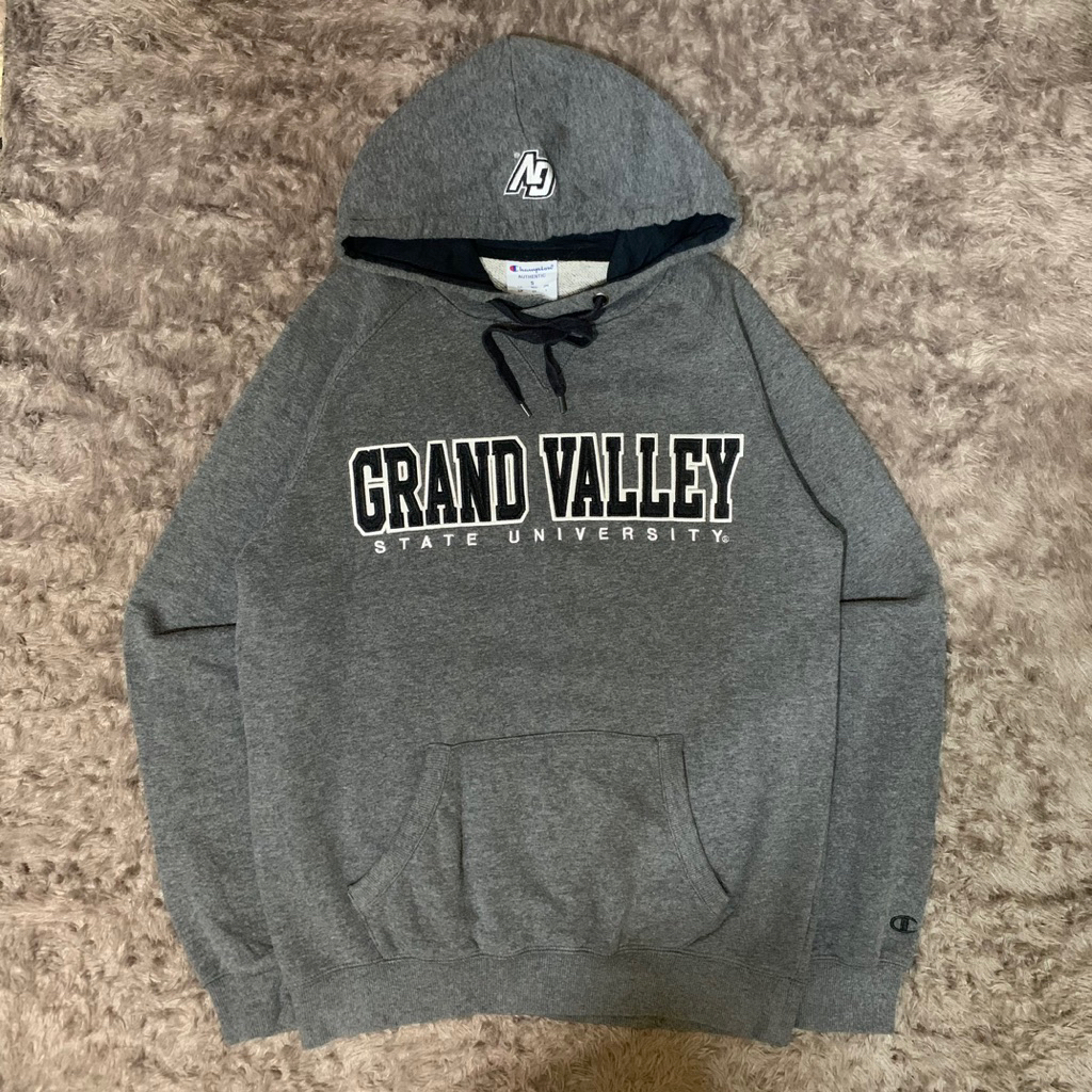 hoodie champion university