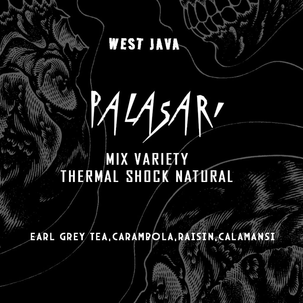

palasari jawa barat thermal shock natural roasted beans coffee