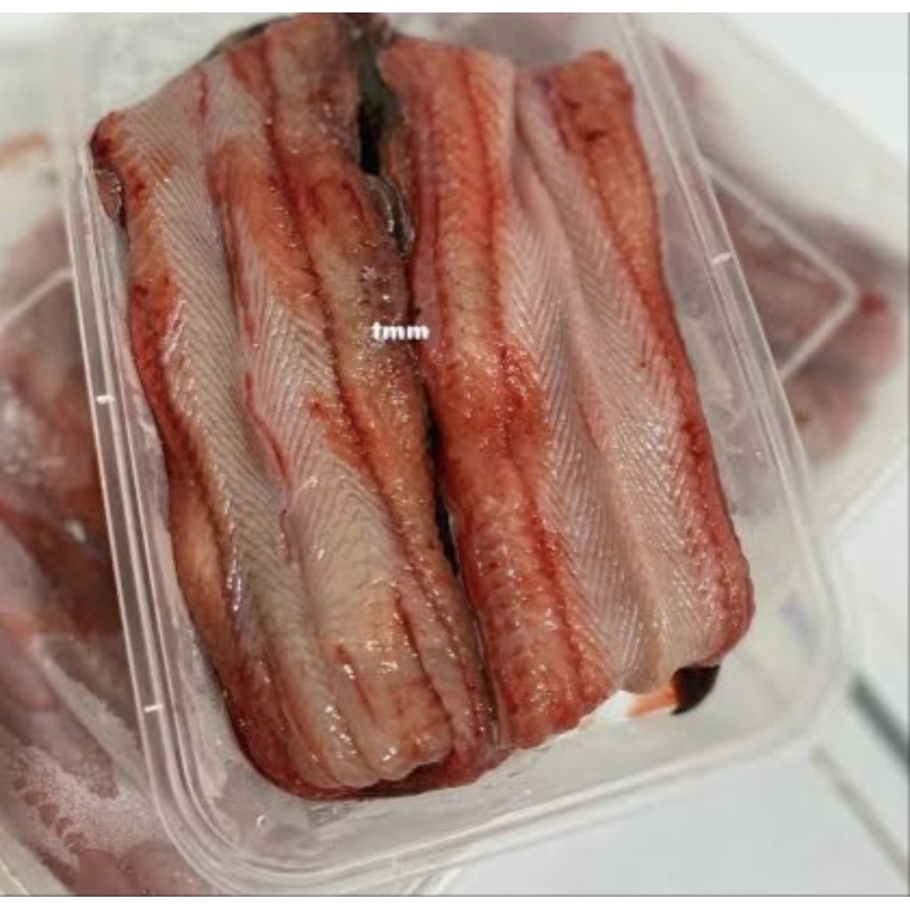 

Belut Filet Fresh 400gram