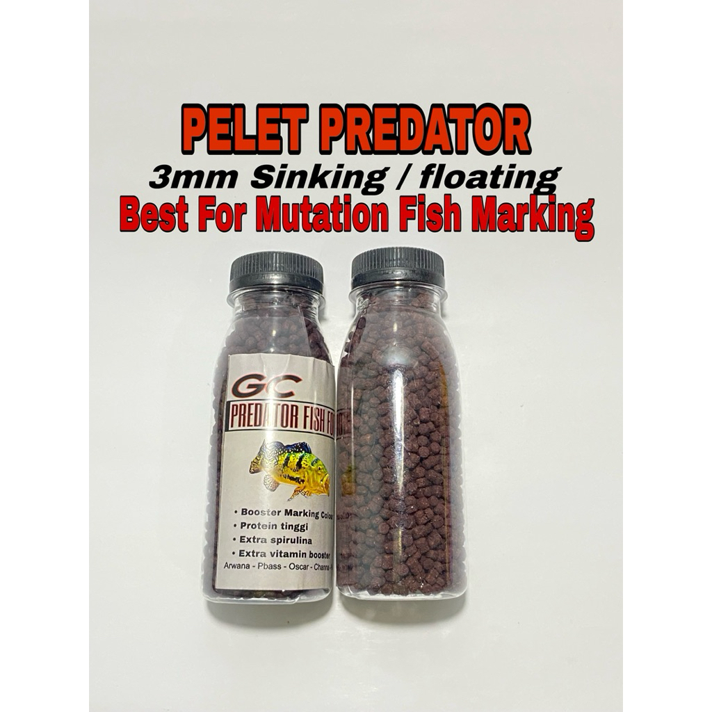 Pelet Ikan Predator - Pelet Premium Ikan predator - pelet khusus ikan predator murah terbaik