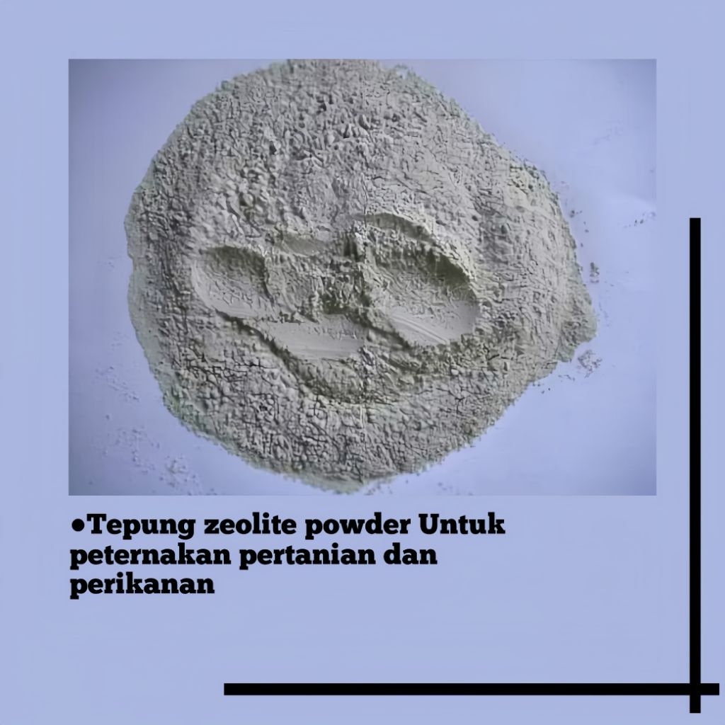 Tepung Zeolite POWDER