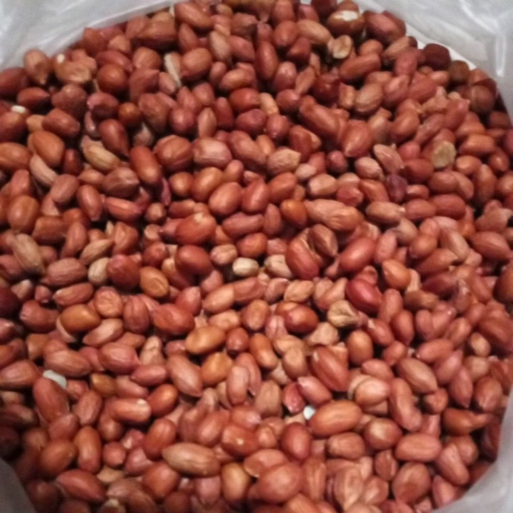 

KACANG TANAH KUPAS MENTAH 1KG