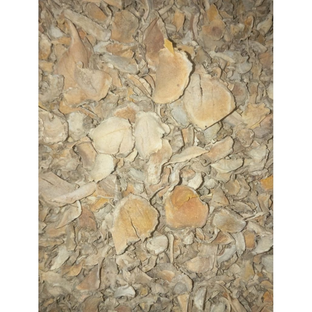 

Temulawak Kering 1Kg