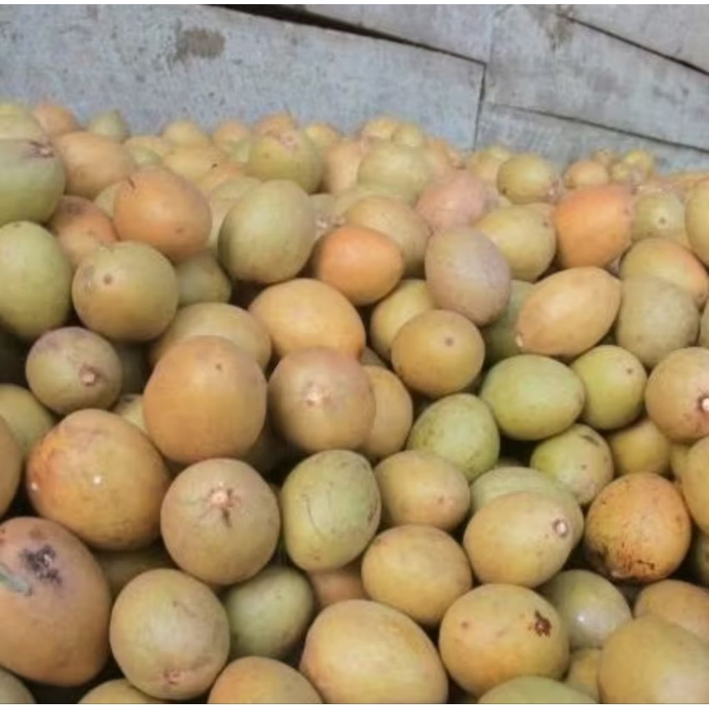 

Sawo Simadu 1Kg – Buah Lokal Segar Manis Berkualitas