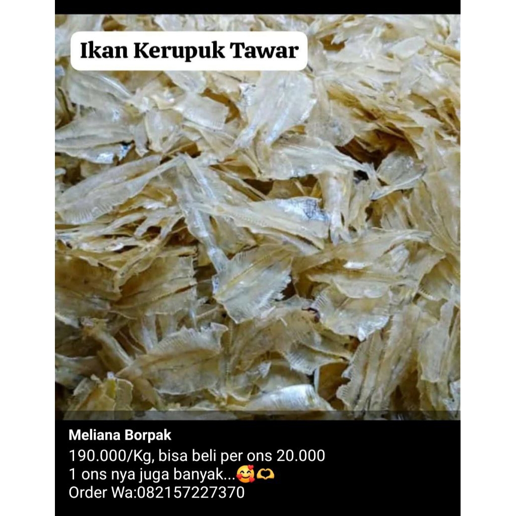 

ikan Kerupuk tawar