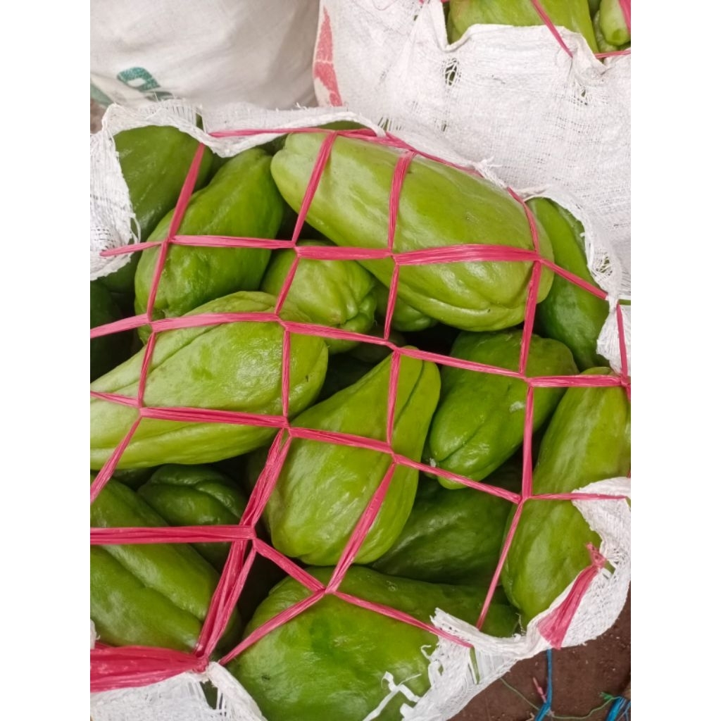 

Labu Siam jumbo 1kg