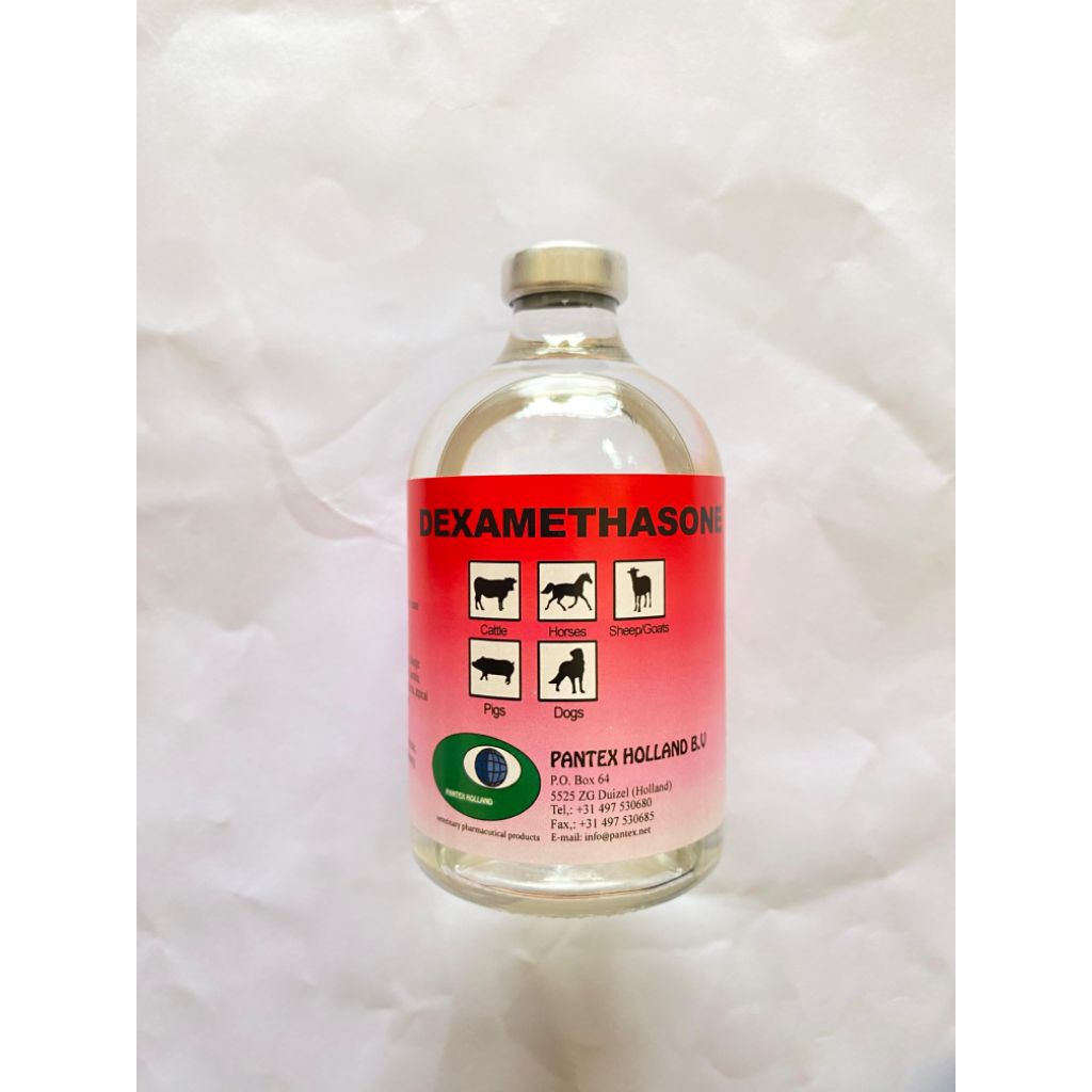 DEXAMETHASONE 100ML-obat demam & nyeri pada hewan
