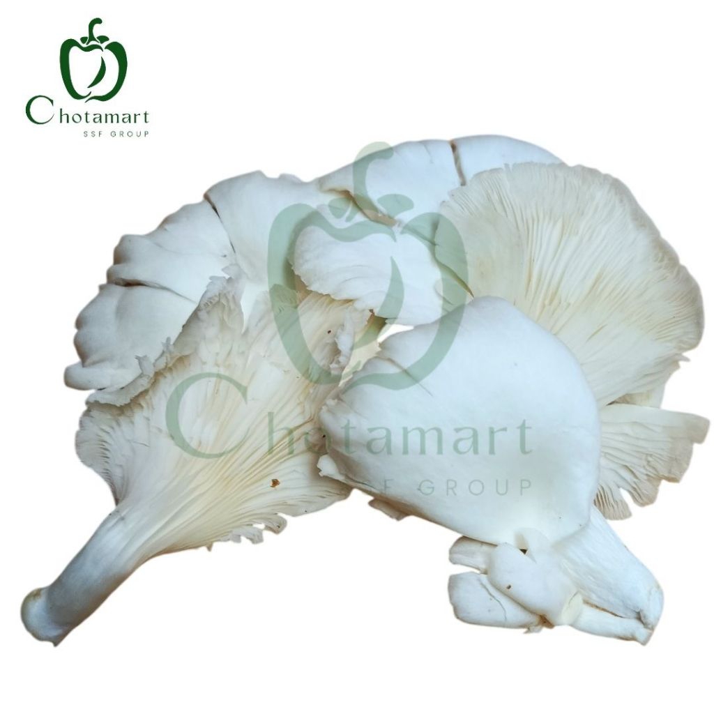 

Jamur Tiram 200-250g