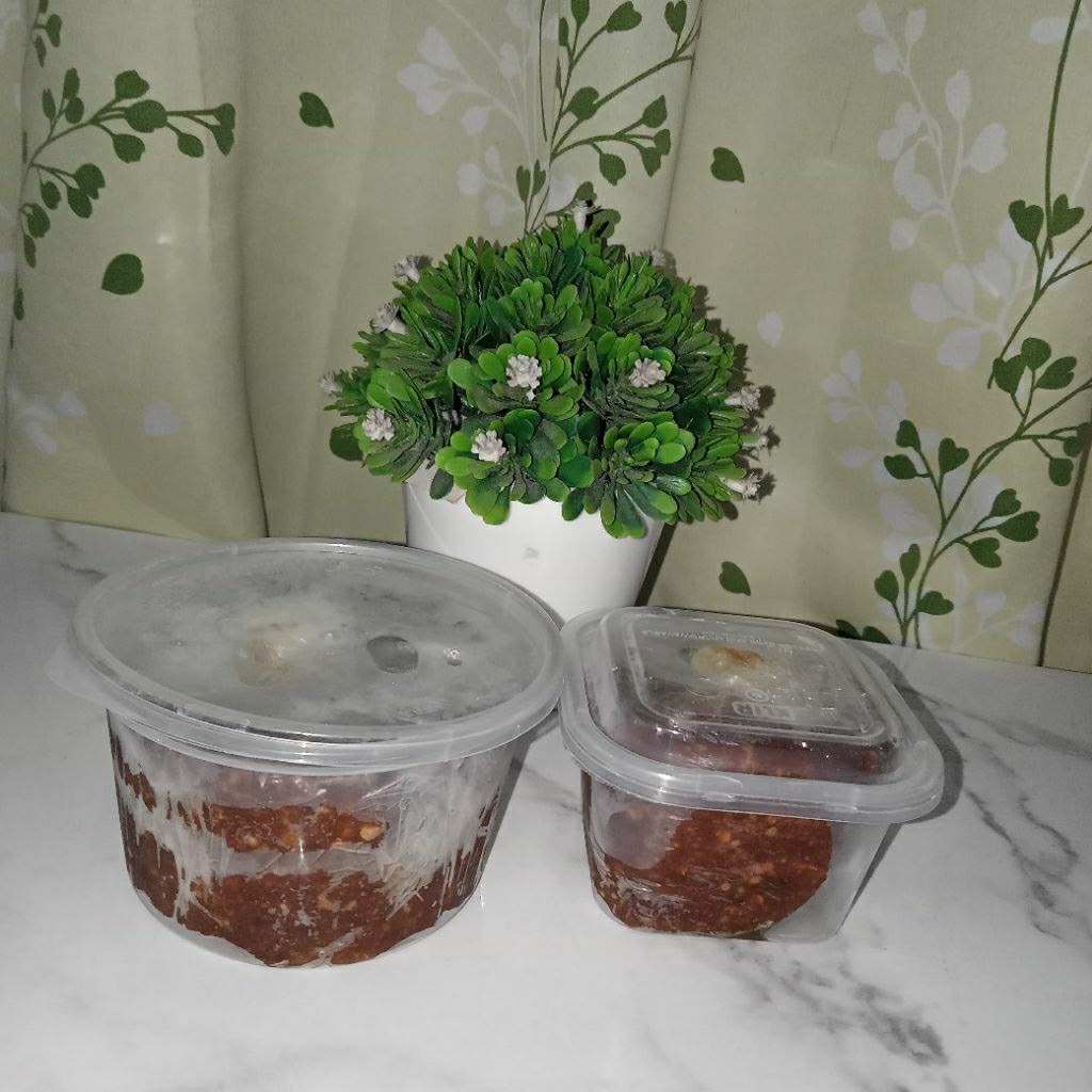 

Sambel Pecel Jos Klaten