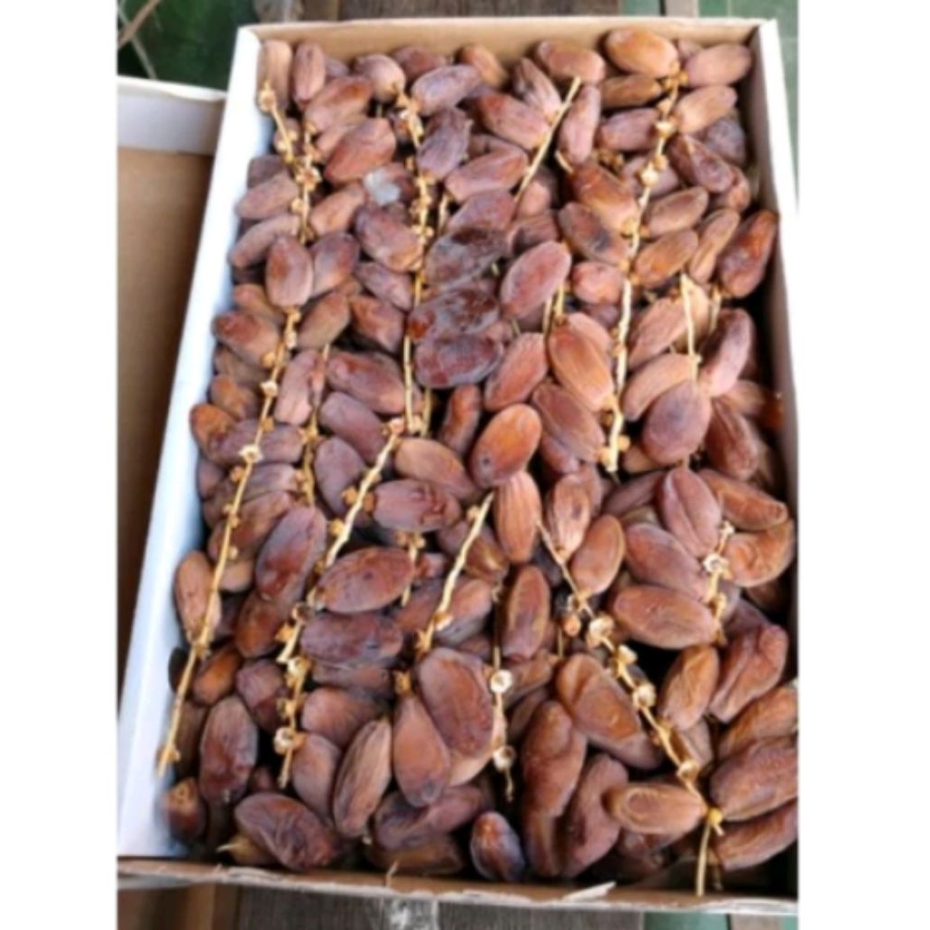 

Kurma Tunis tangkai oleh oleh Haji 5 kg