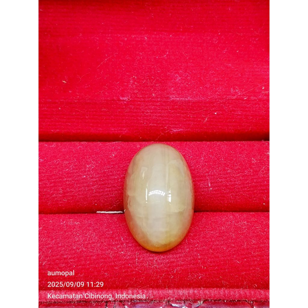 24mm x 15.6mm x 10.7mm Shopee pinjam fair fashion jewelry Gajian sale 9.9 koleksi perhiasan premium 