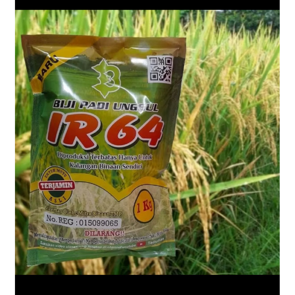

Benih padi Kualitas unggul IR 64 asli Aceh / IR 64 kemasan 5KG