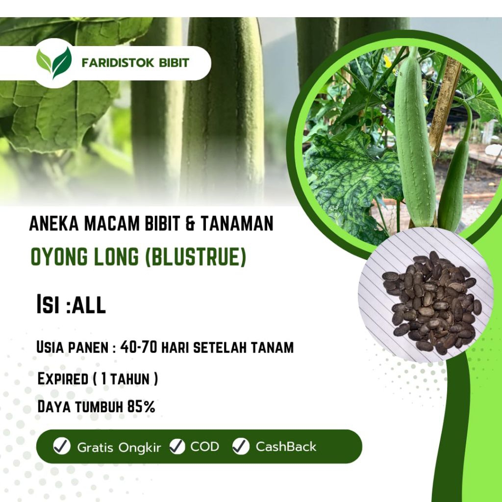 100 biji benih oyong long ( blustru )