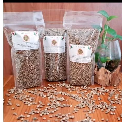 

green bean robusta Lampung 500g