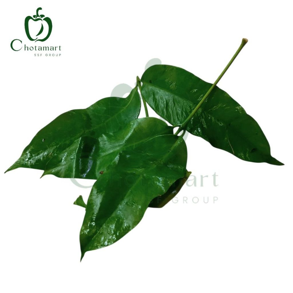 

Daun Mlinjo 200-250g