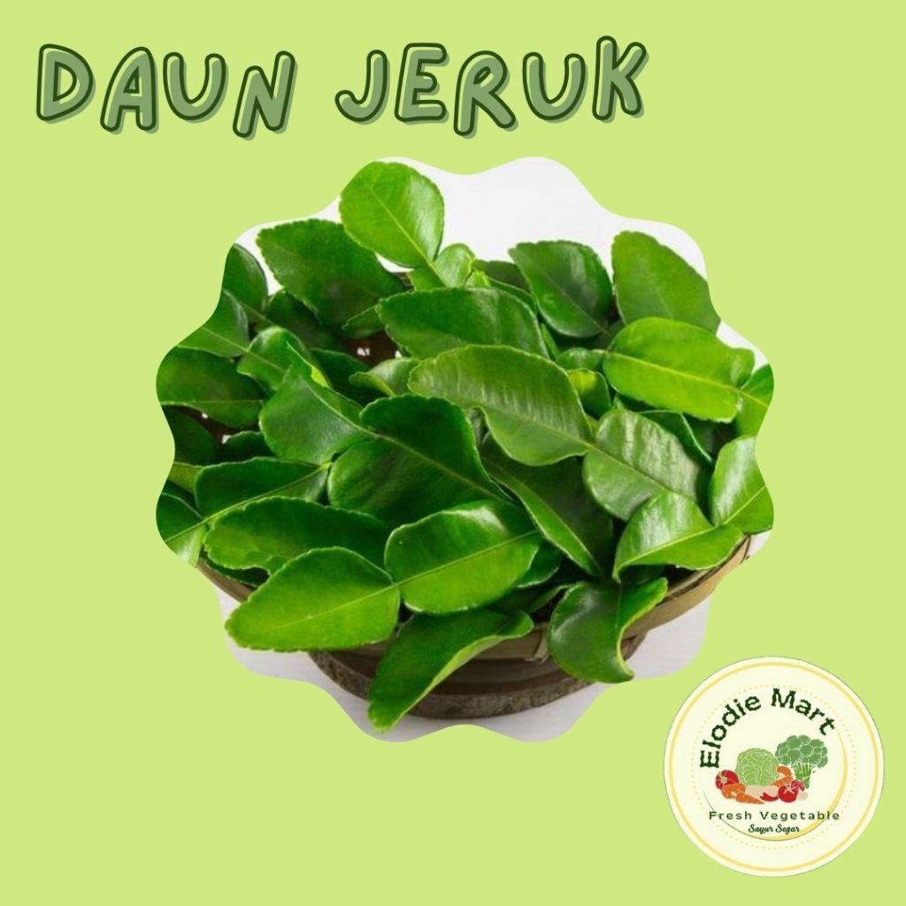 

DAUN JERUK