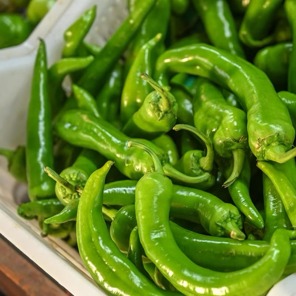 

Cabe Shisito Lokal Fresh / Jabe Chili Shisito Lokal 300gram