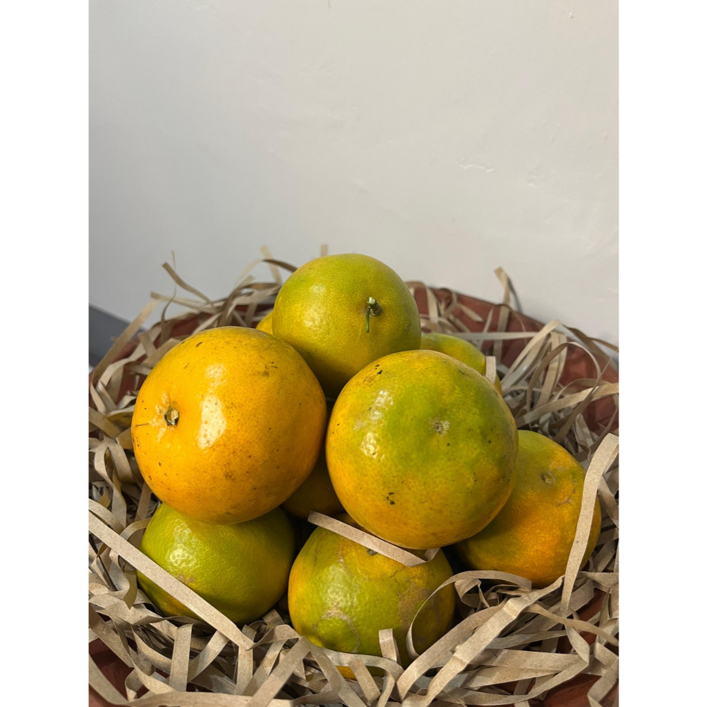 

Jeruk RGL 1 Kg Batu Malang Manis Sedikit Asam