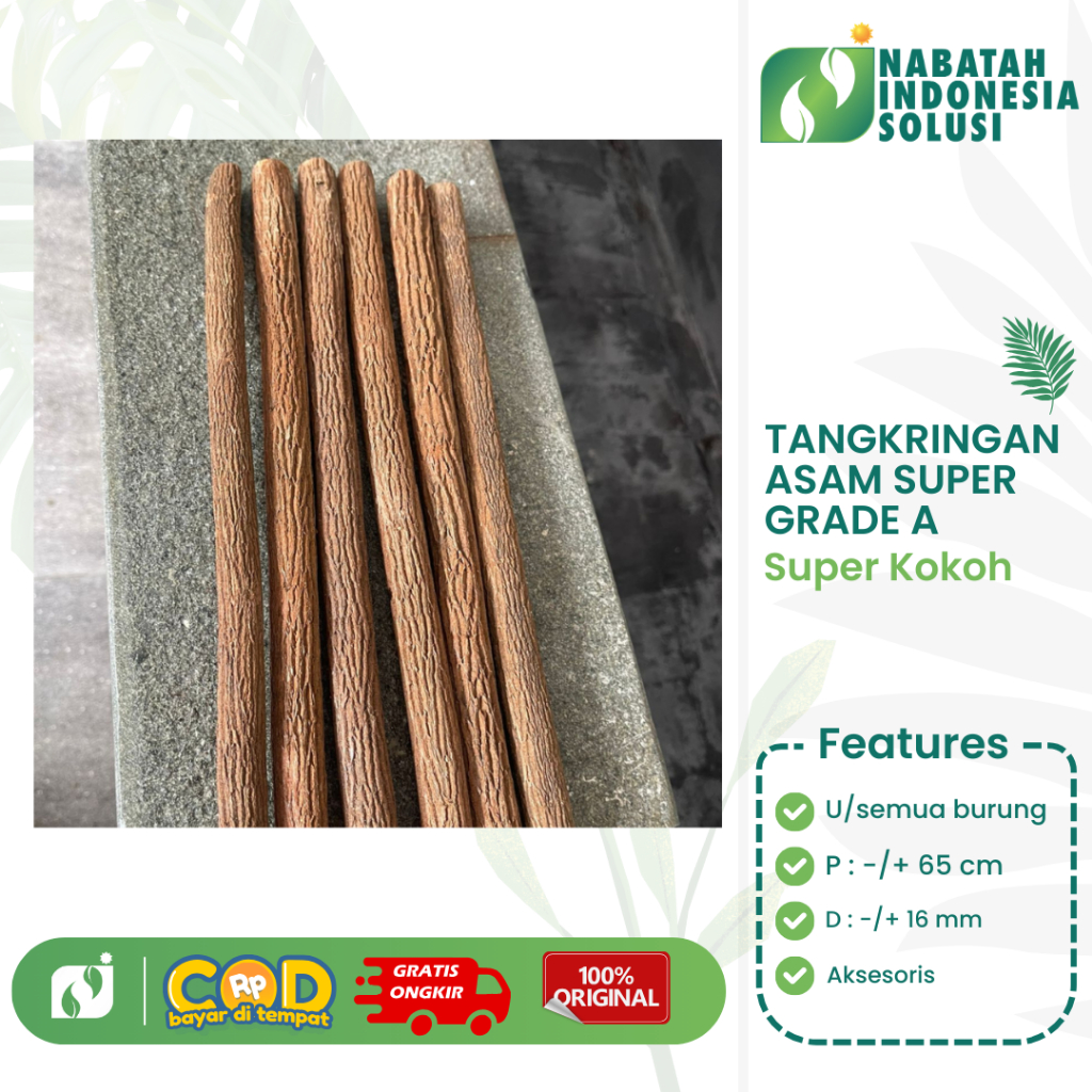 TANGKRINGAN ASEM JAWA PANGKRINGAN KAYU ASEM JAWA SUPER GRADE A SANGKAR BURUNG