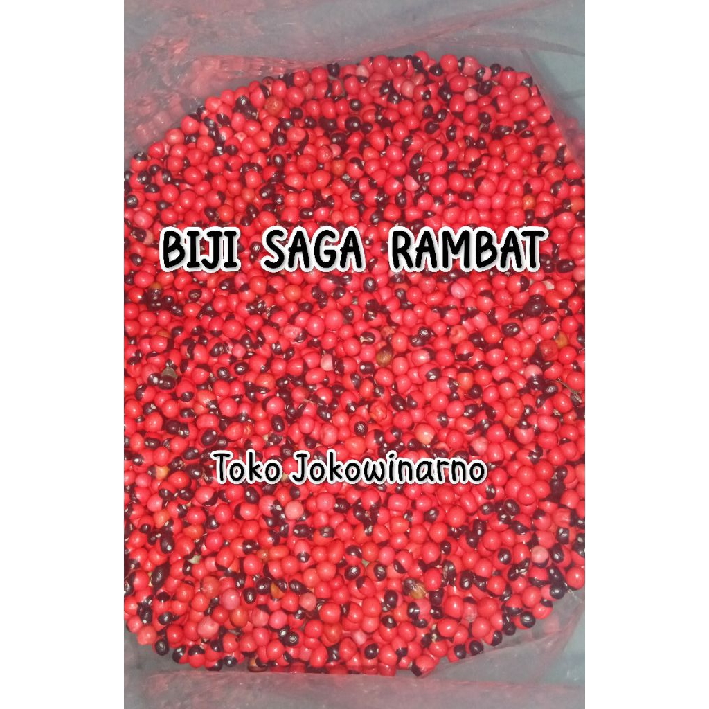 

BIJI SAGA RAMBAT 1 Kg - Saga rambat asli bintik hitam