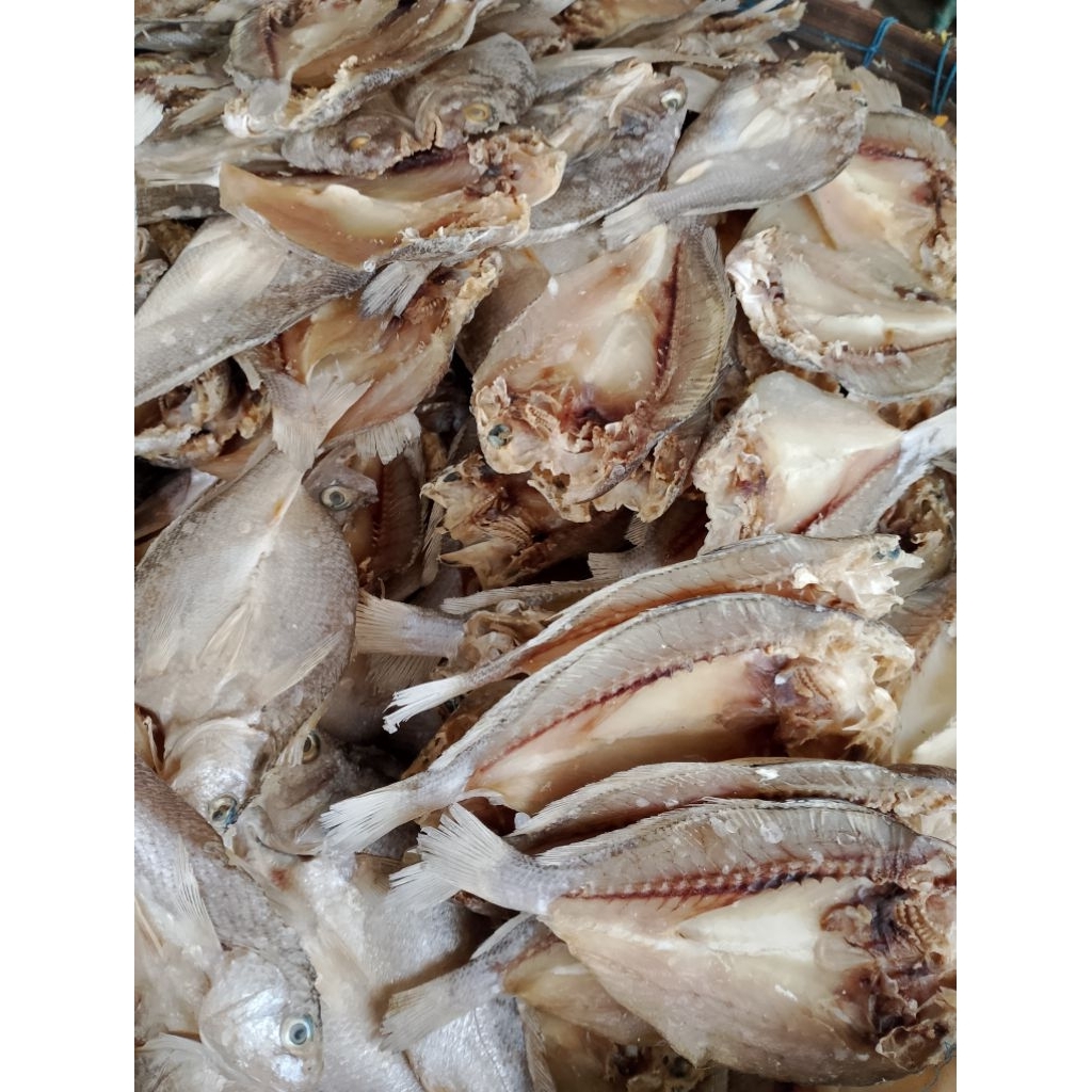 

Ikan asin betet super/gurih/besar 1kg