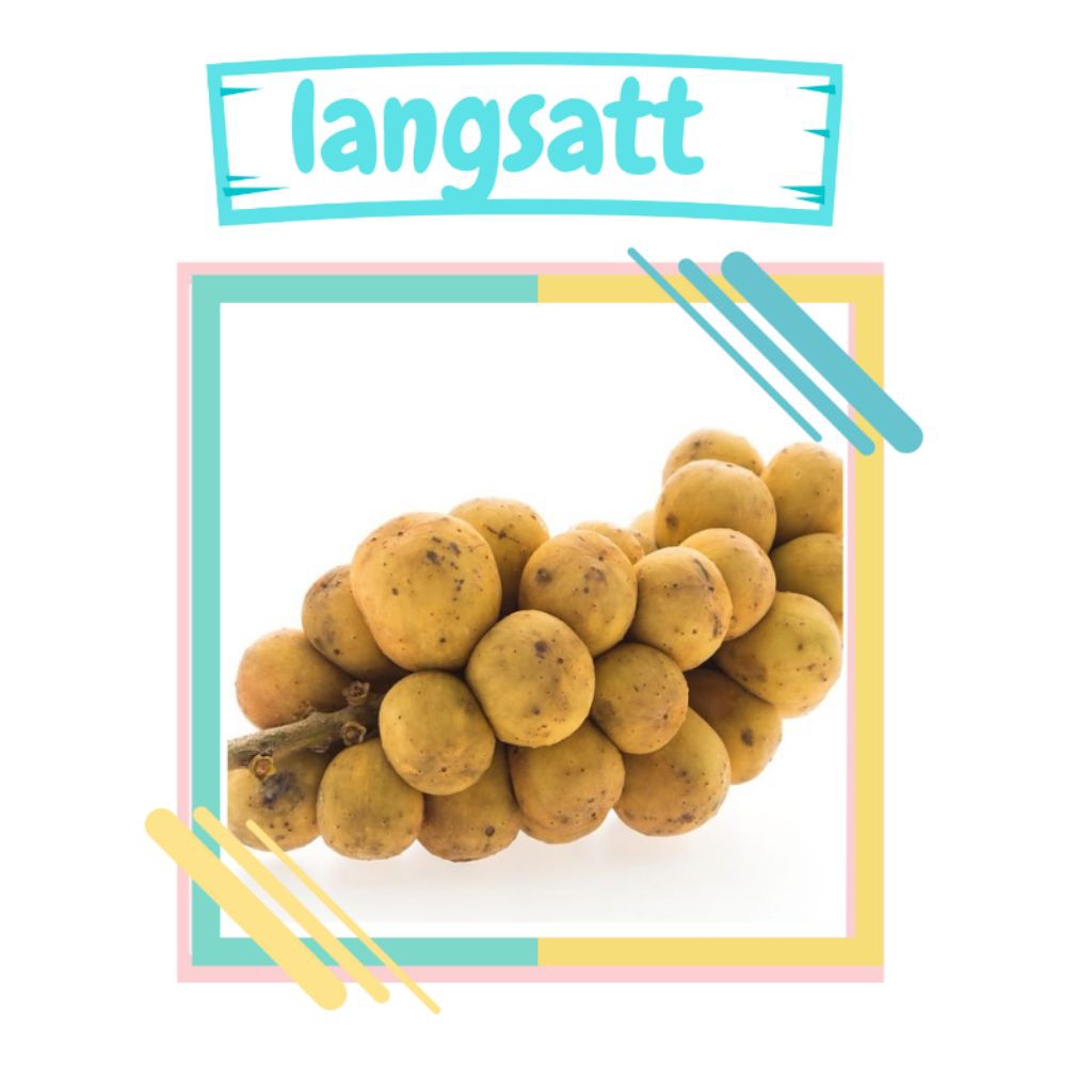 

langsatt