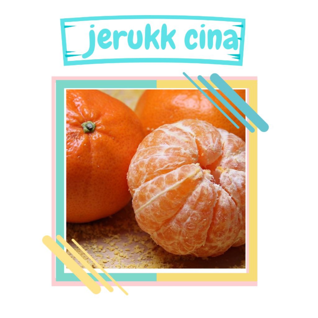 

buah jeruk mandarin