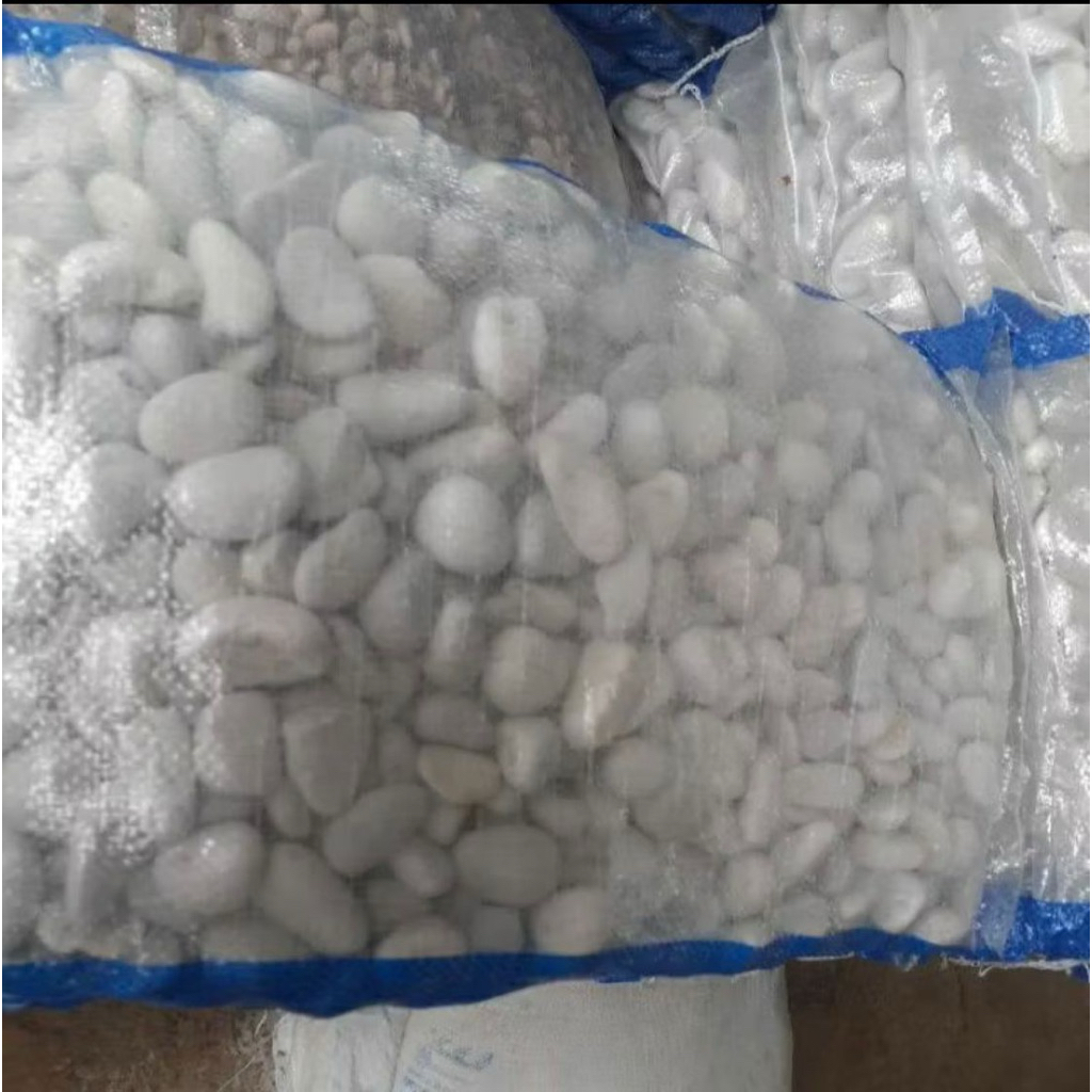 Batu Putih Tanaman Taman Sebesar Koin 500an Karungan BOGOR