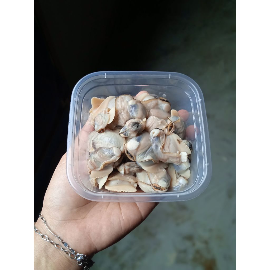 

Frozen Seafood Kepah Bersih