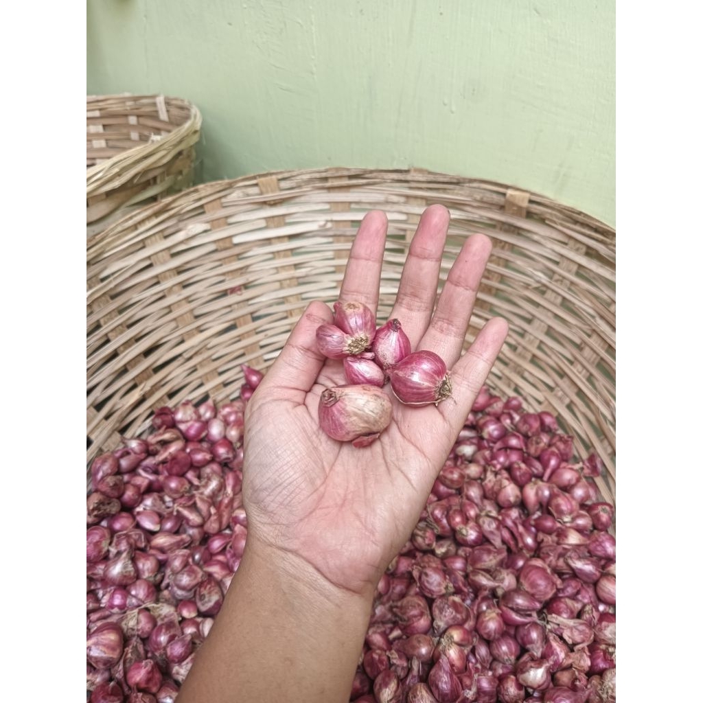 

Bawang Merah probolinggo ukuran kecil 1 kg