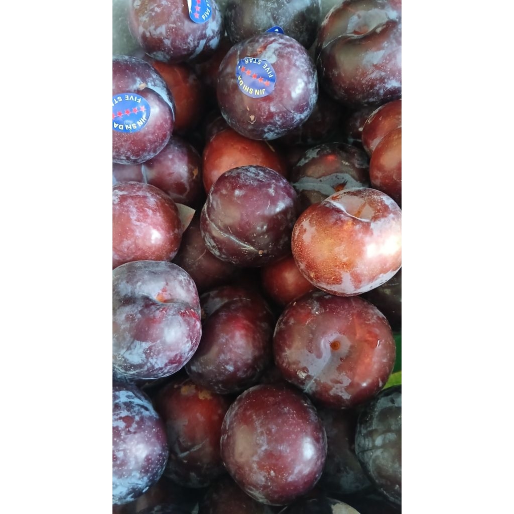 

buah plum