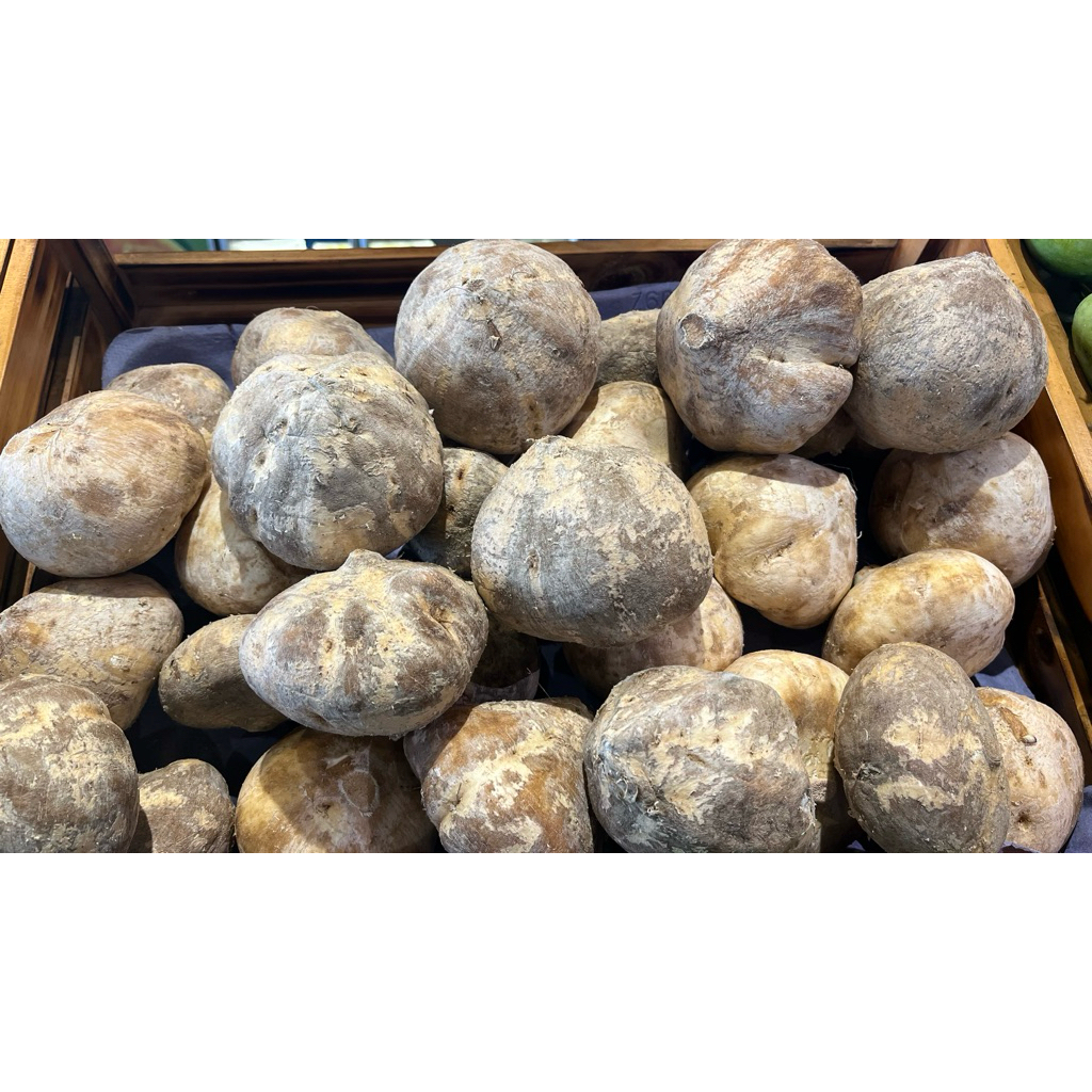 

Bengkoang 900-1000gr