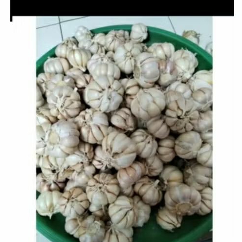 

bawang putih 1 kg ready stok
