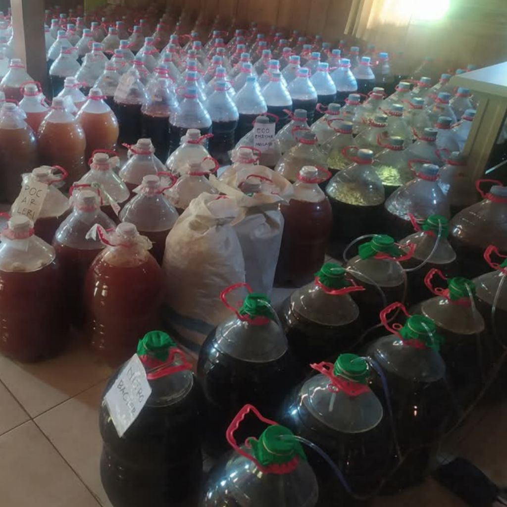 psb fotosintesis super