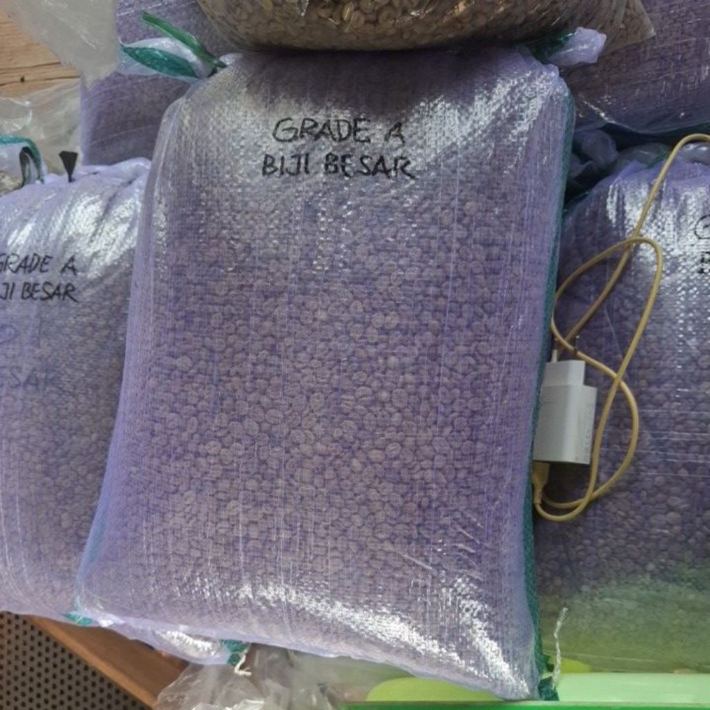 

Biji Kopi Mentah Green Bean Robusta Natural Process Grade A – Premium Asli Kuningan 10kg