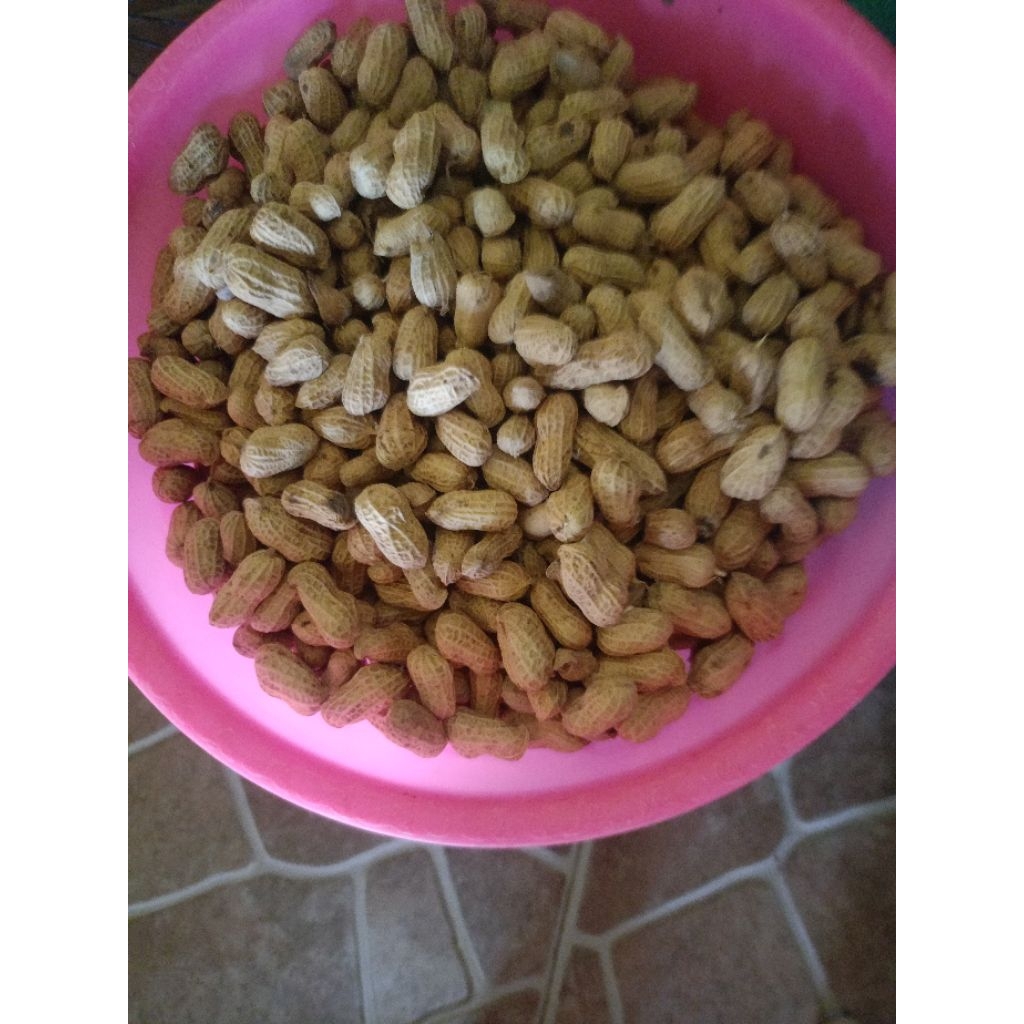 

kacang asin 1kg