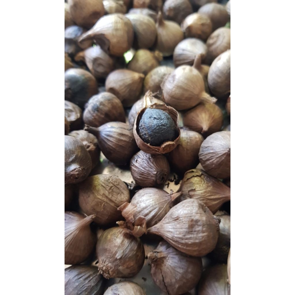 

Blackgarlic tunggal bawang putih hitam