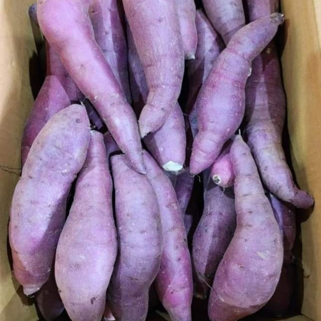 

Ubi Ungu Ukuran Besar Dan Sedang Fresh 1 Kilo Asli Tegal