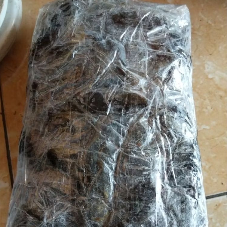 

Propolis Klanceng Fresh, Propolis Mentah