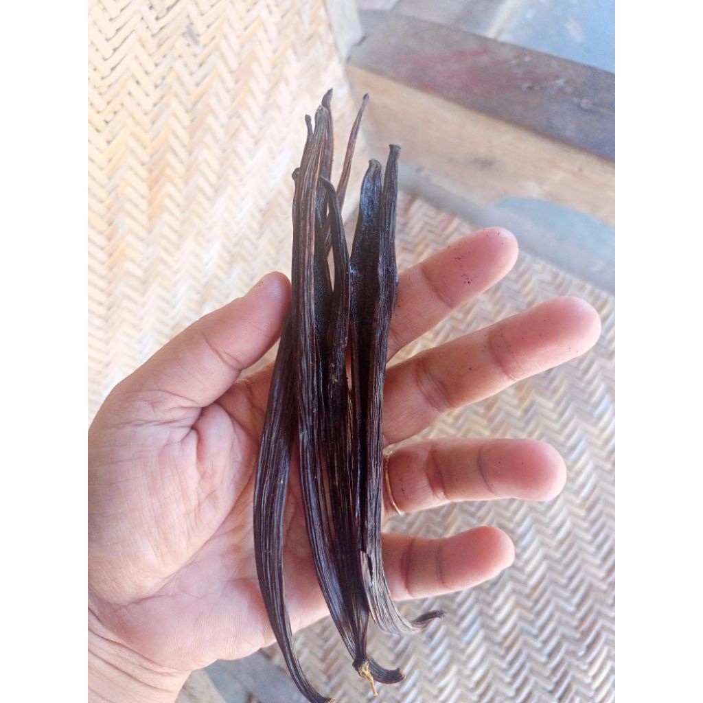 

VANILI KERING(TERBUKA SEPARO) 15-19cm