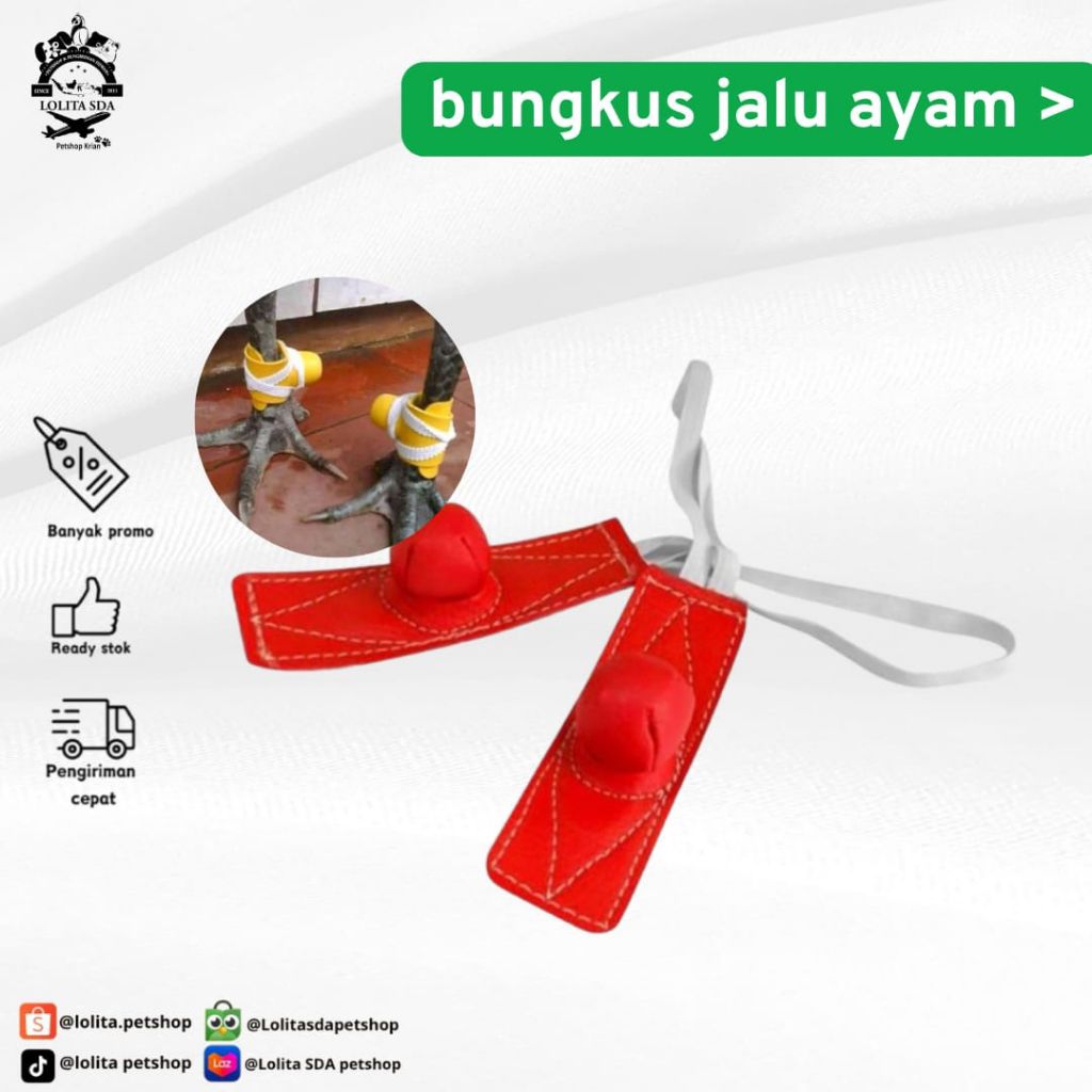 Bungkus Jalu kaki ayam Sempati / bungkus Jalu ayam laga aduan petarung