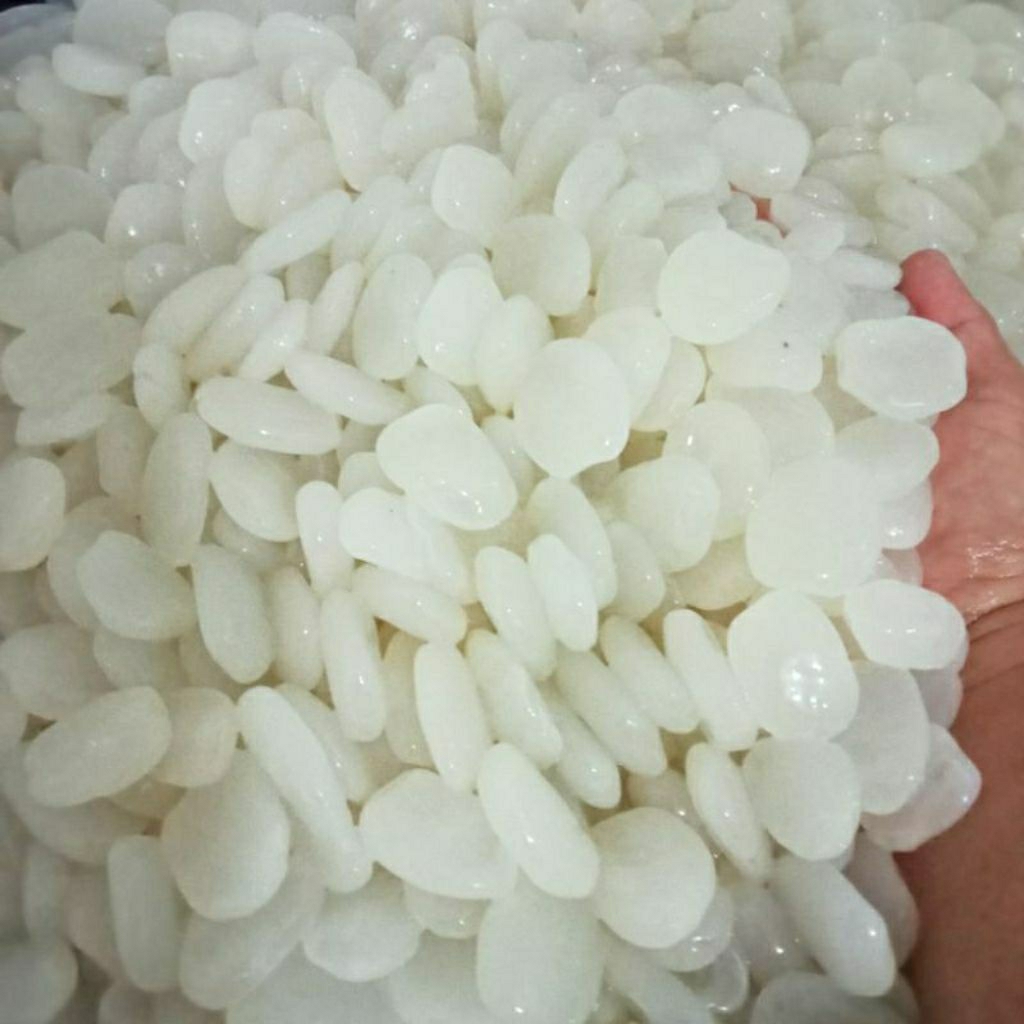 kolang Kaling bersih kolang Kaling segar 1kg