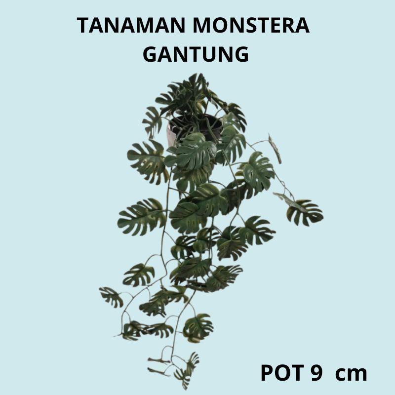 Tanaman Palsu Hiasan Artifisial Gantung Tanaman Monstera Dengan Pot  9 cm