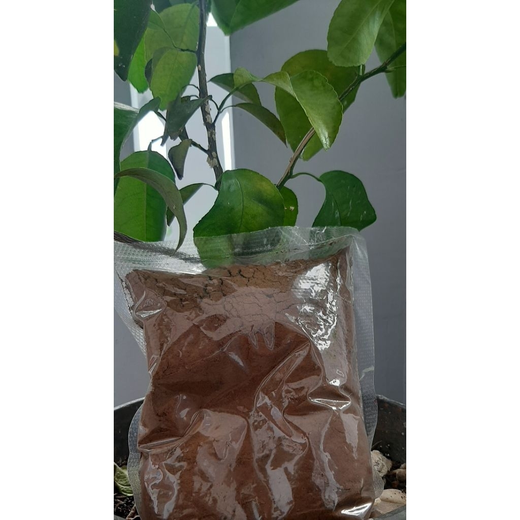 

kopi khas bumi rafflesia |100% Ori tanpa jagung