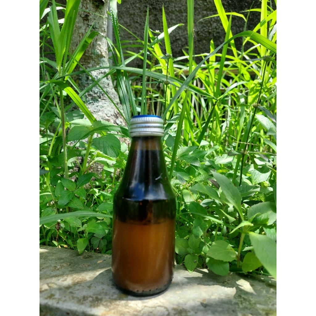 Minyak urut asli Cimande