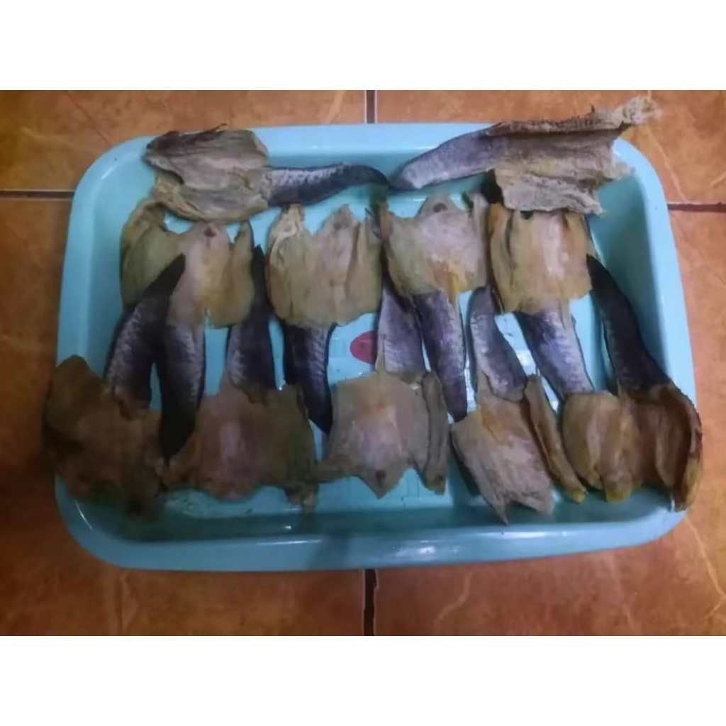 

READY IKAN GABUS FRESH KUALITAS PREMIUM 150gr COD SIAP KIRIM
