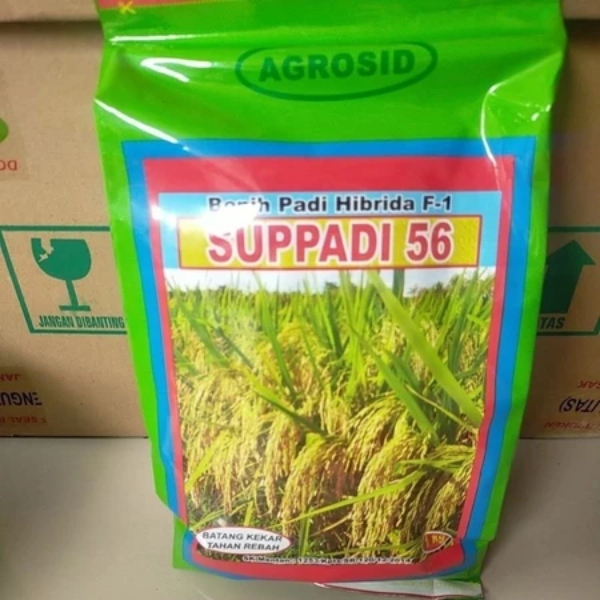 Terlaris  Benih Padi Hibrida Supadi 56 Hasil Melimpah Original 100%