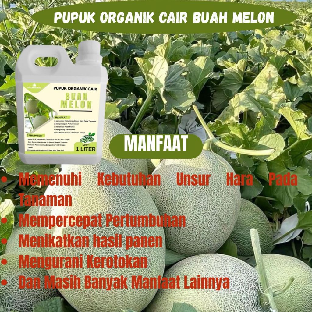 Pupuk Pembesar Buah Melon / Pupuk Melon Cepat Berbuah / Pupuk Melon Pembesar Buah / Pupuk Booster Me